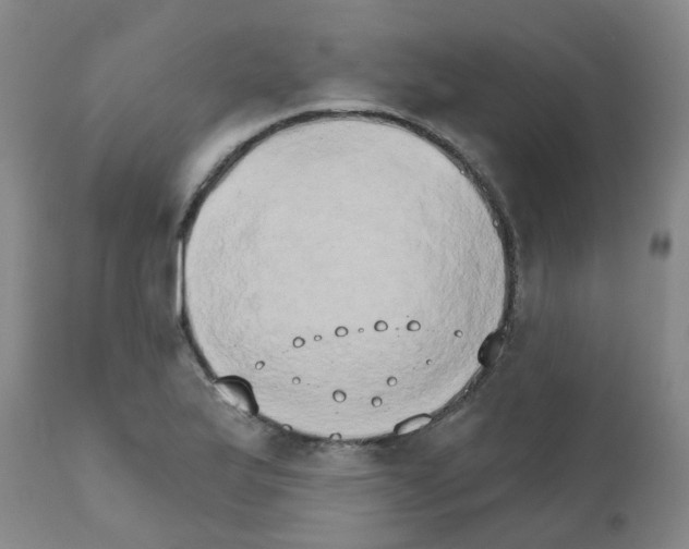 X0000111521175200908251130