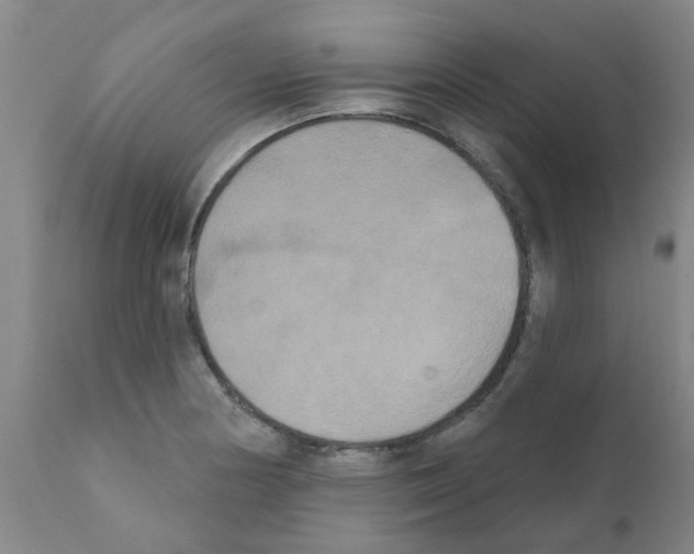 X0000111521178200908251129