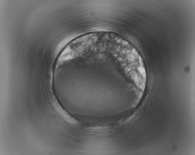 X0000111521179200908251129