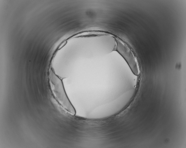 X0000111521181200908251129