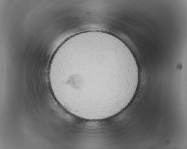 X0000111521182200908251129