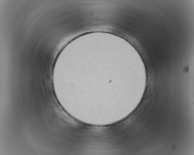 X0000111521184200908251129