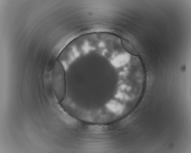 X0000111521185200908251129