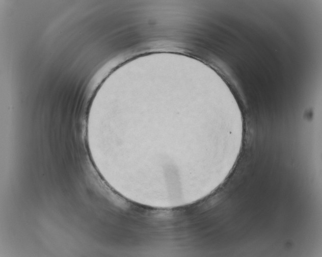 X0000111521188200908251129