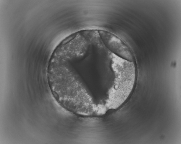 X0000111521189200908251129