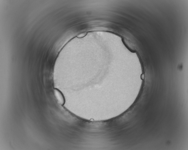 X0000111521193200908251129