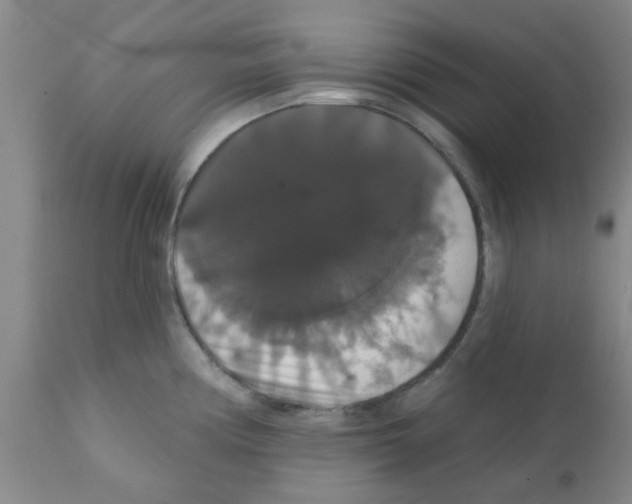 X0000111521194200908251129