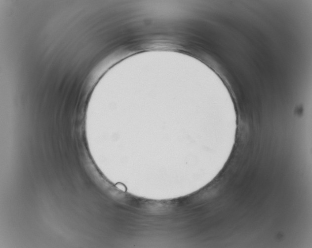 X0000111521195200908251129