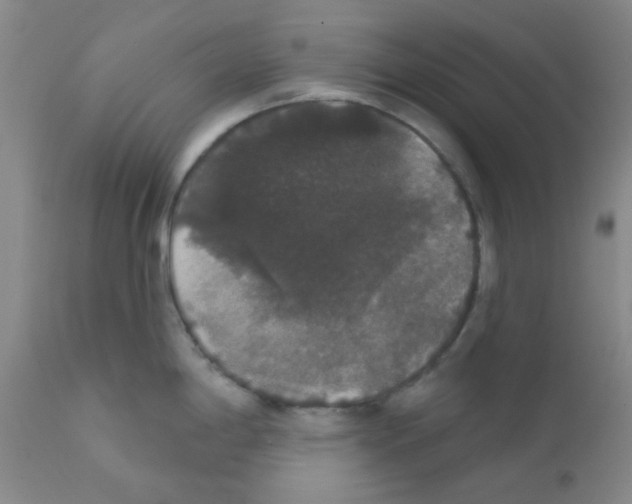 X0000111521198200908251129