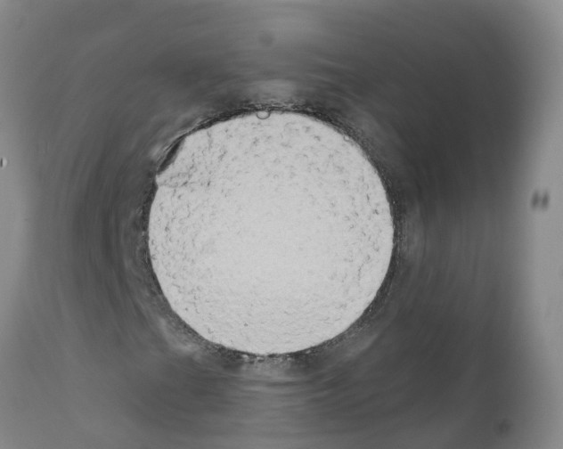 X0000111521201200908251128