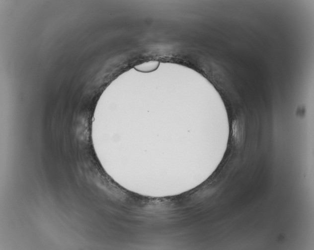 X0000111521203200908251128
