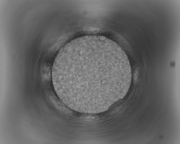 X0000111521204200908251128