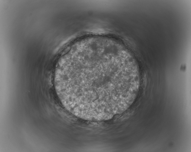 X0000111521205200908251128
