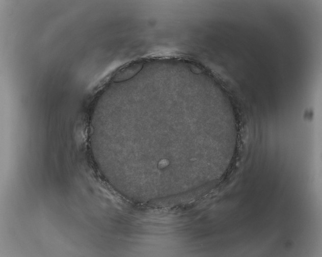 X0000111521206200908251128