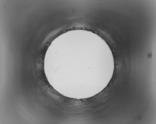 X0000111521207200908251128