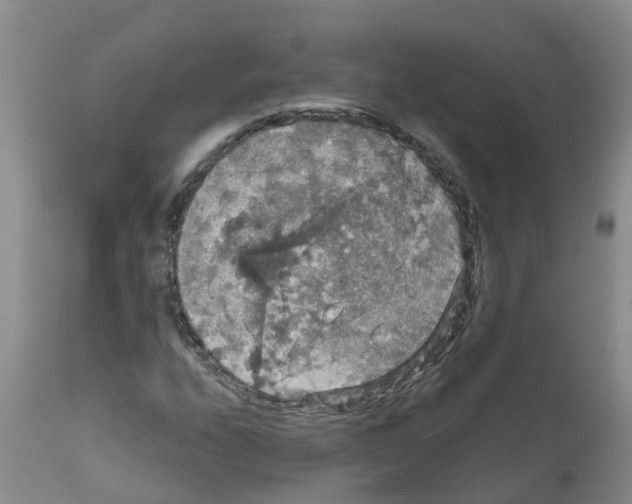 X0000111521208200908251128