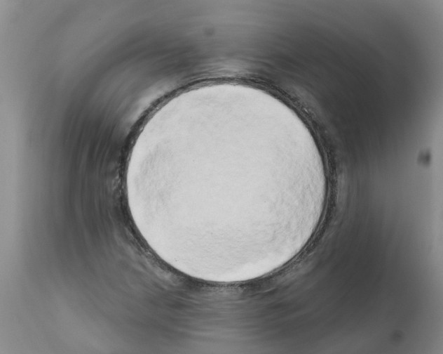 X0000111521210200908251128