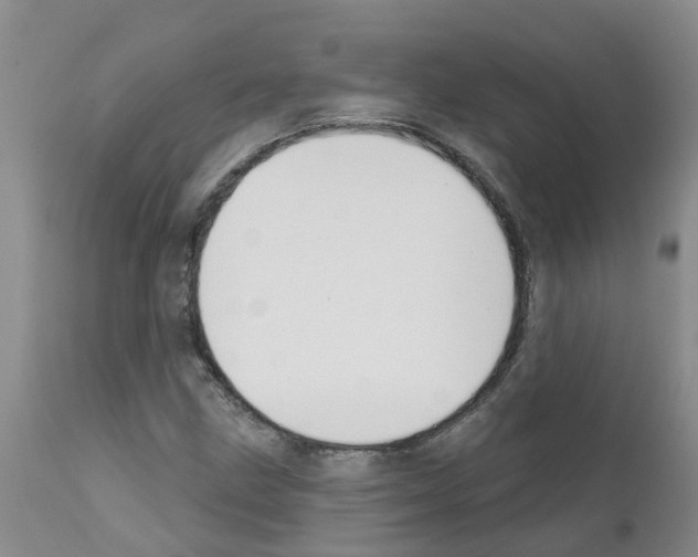 X0000111521211200908251128