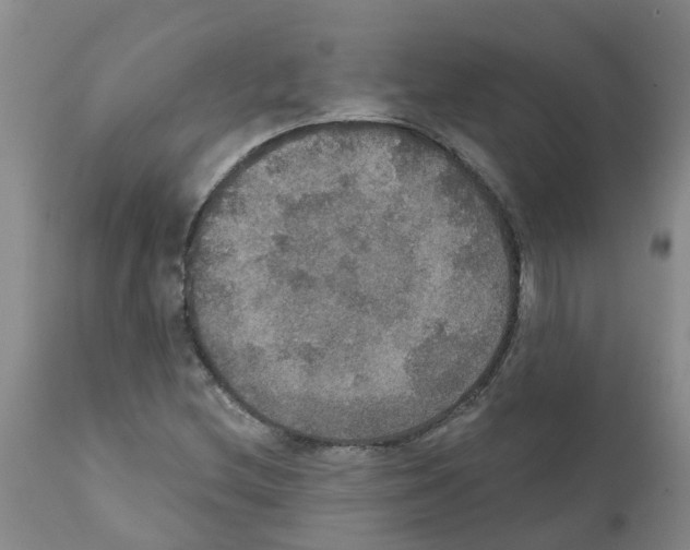 X0000111521212200908251128