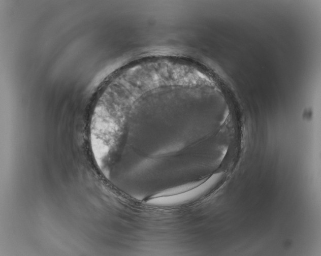 X0000111521213200908251128