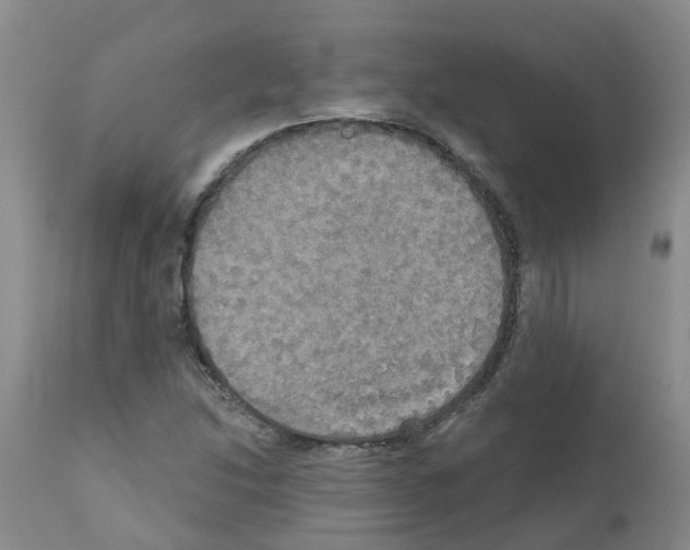 X0000111521214200908251128