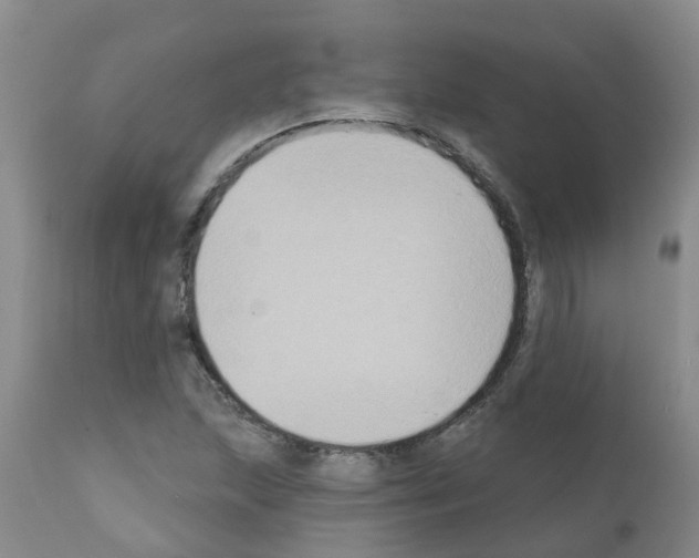 X0000111521215200908251128