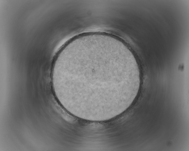 X0000111521216200908251128