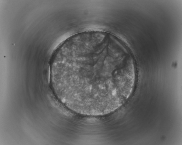 X0000111521219200908251128