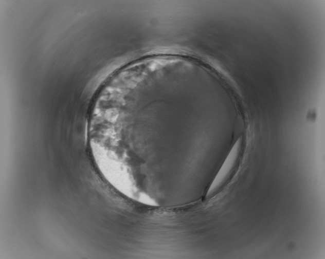 X0000111521221200908251128