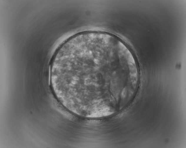 X0000111521223200908251128