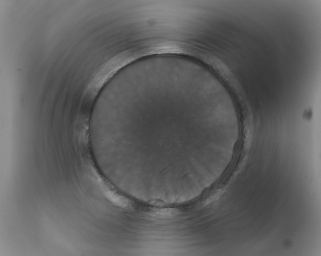 X0000111521225200908251129