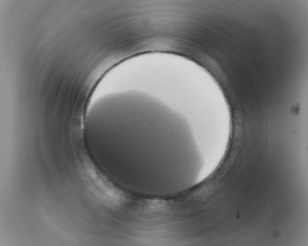 X0000111521226200908251129