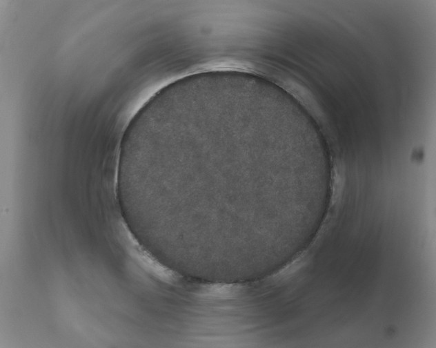 X0000111521228200908251129