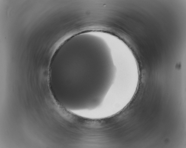 X0000111521229200908251129