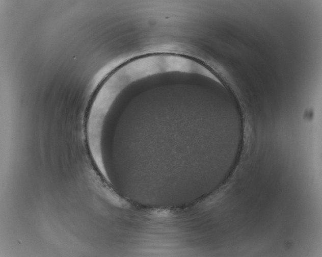 X0000111521230200908251129