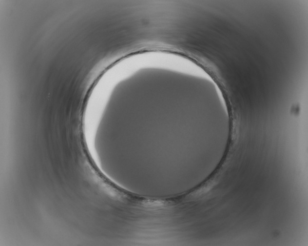 X0000111521231200908251129