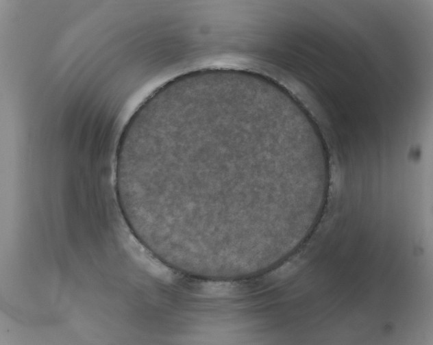 X0000111521232200908251129
