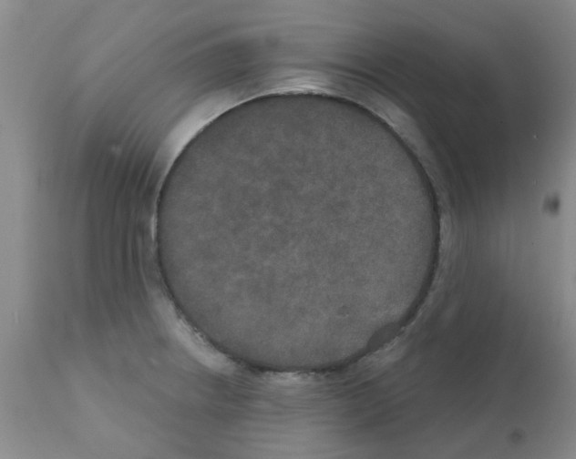 X0000111521234200908251129