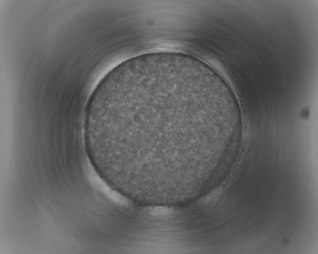 X0000111521235200908251129