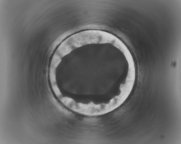 X0000111521237200908251129