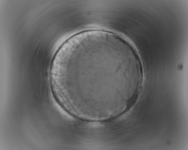 X0000111521239200908251129