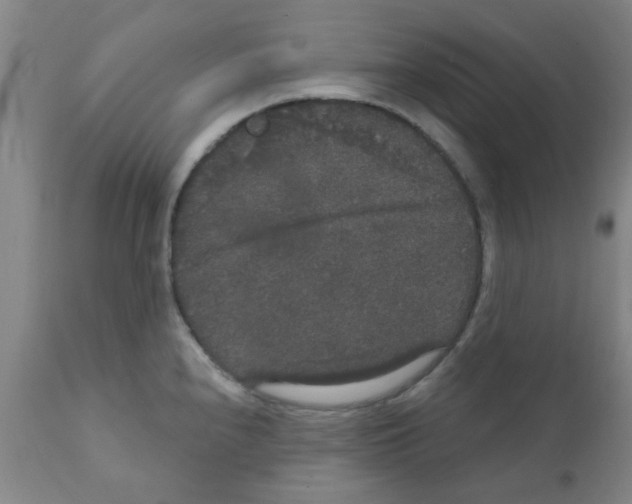X0000111521240200908251129