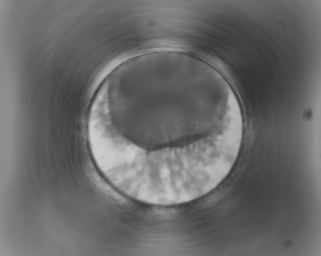 X0000111521243200908251129