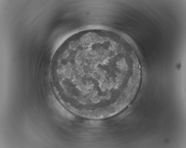 X0000111521244200908251129