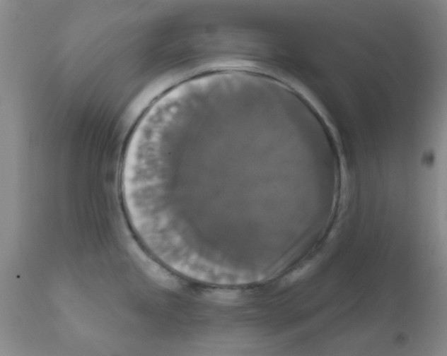 X0000111521245200908251129