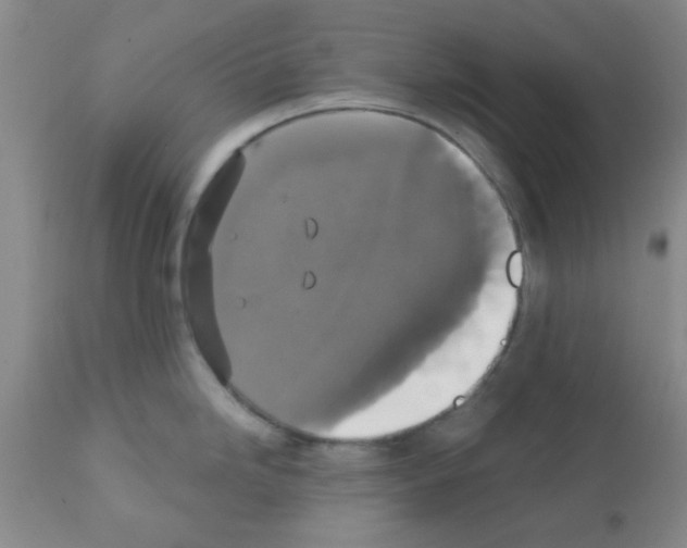 X0000111521246200908251129