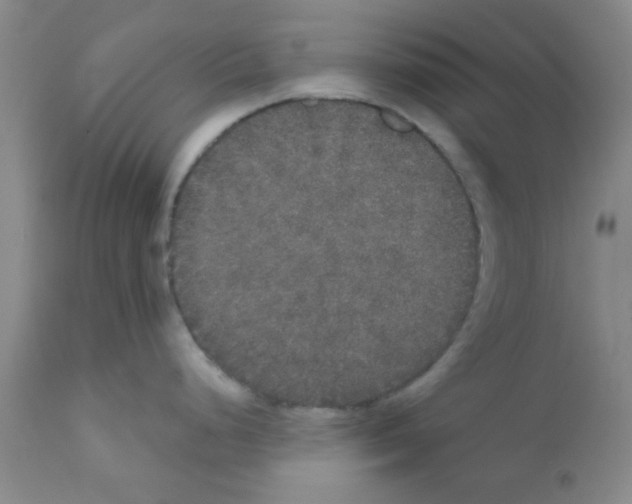 X0000111521248200908251129