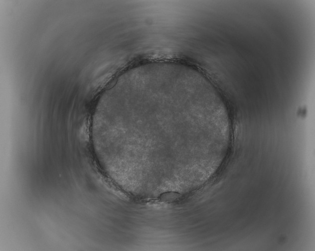 X0000111521250200908251128