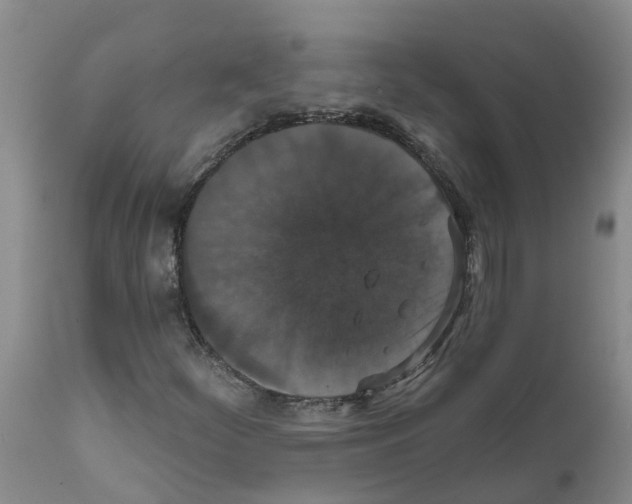 X0000111521252200908251128