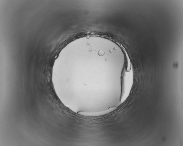 X0000111521253200908251128